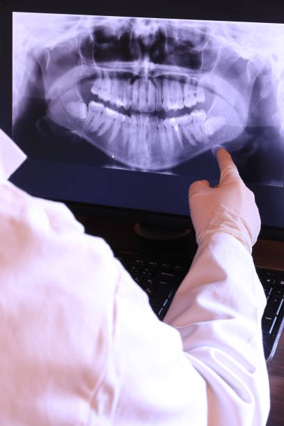 Best Emergency X-Rays and Diagnostics in Garden City, MI